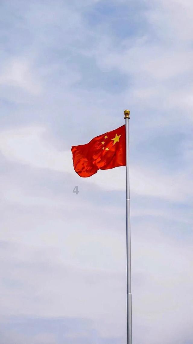 动物帮帮忙保卫家园